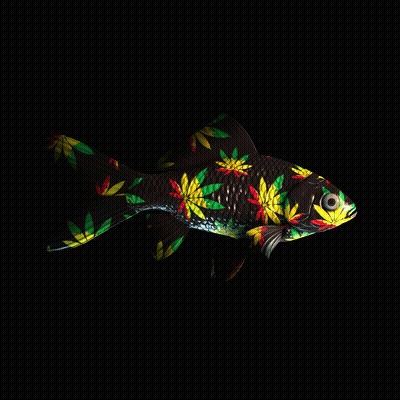 CryptoFish #3514 animated NFT